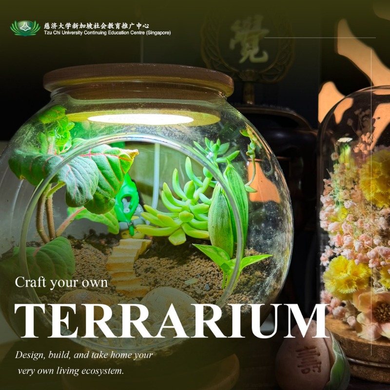 コシチャィムTerra J26050: Terrarium and Kokedama Class – Continuing Education Centre